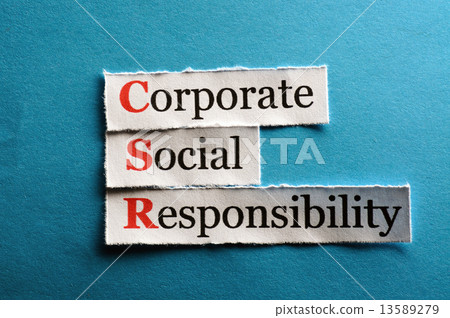 csr abbreviation 13589279