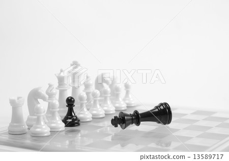 Chess game. 13589717