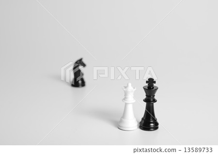 chess 13589733