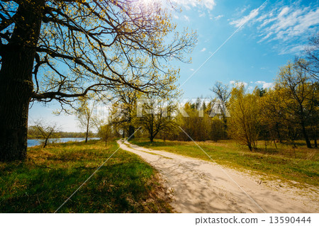 Spring Season In Park. Green Young Grass, Trees On Blue Sky Back Spring Season In Park. Green Young Grass, Trees On Blue Sky Back 13590444