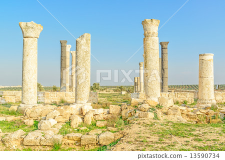 Gwoevebe(約旦,伊爾比德北) Gwoevebe(約旦,伊爾比德北) 13590734