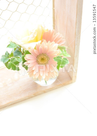 Gerbera flower arrangement 13591547