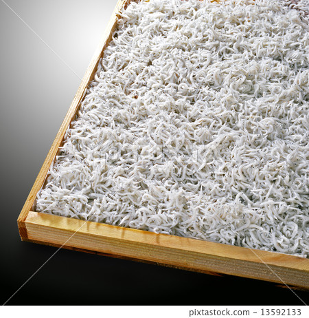 Shiugake炸蝦 Shiugake炸蝦 13592133