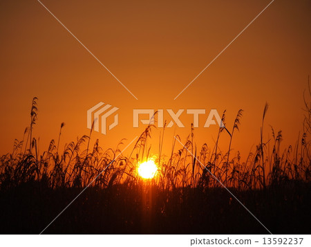 冬季日出 冬季日出 13592237