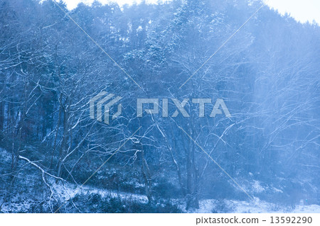 Snow mountain Snow mountain 13592290