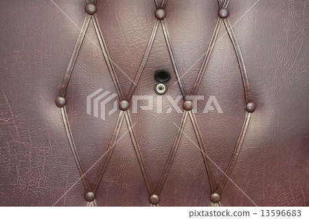 Brown Leather Door with Gold Peephole 13596683