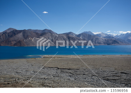 Pangong Lake 13596956