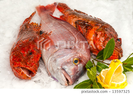 Seafood on ice at the fish market 13597325