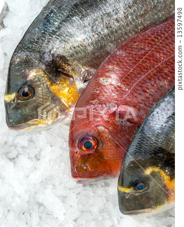 Seafood on ice at the fish market 13597498