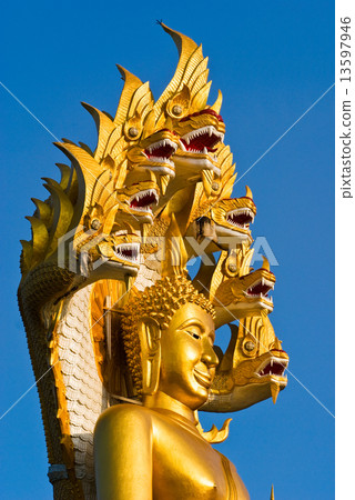Buddha 13597946