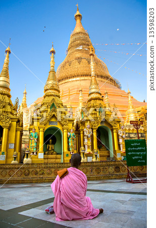 Young Lady monk praying at the Shwedagon Paya, Yangoon, Myanmar. 13598203