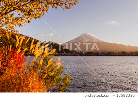 Mount Fuji, Japan. 13598356
