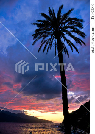 Sunset at Forno, on the Biodola Bay, Elba island. 13598388