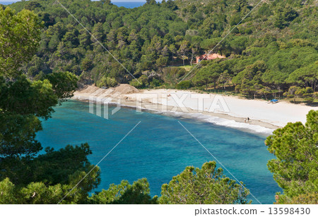 Fetovaia beach, Marina di Campo, Isle of Elba, Italy. 13598430