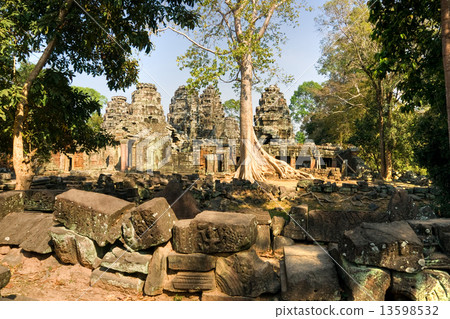 Big Tree at Preah Khan Temple, Angkor Wat, cambodia. 13598532