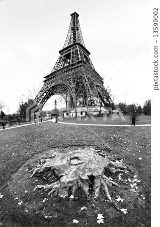 Eiffel tower at sunrise, Paris. 13599002