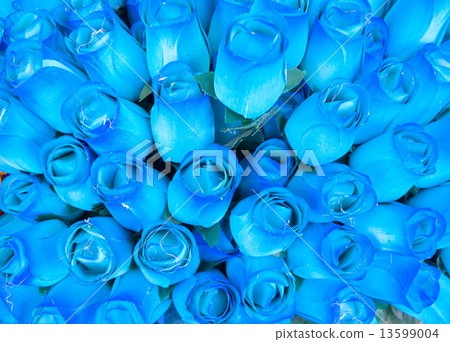 Colorful rose background 13599004