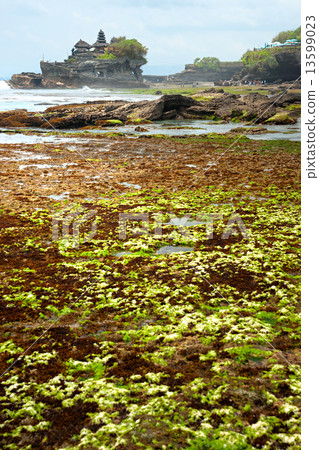 The Tanah Lot Temple, Bali, Indonesia. 13599023