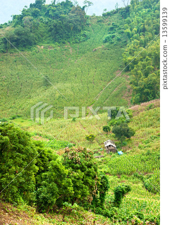 North Vietnamese Landscape. 13599139