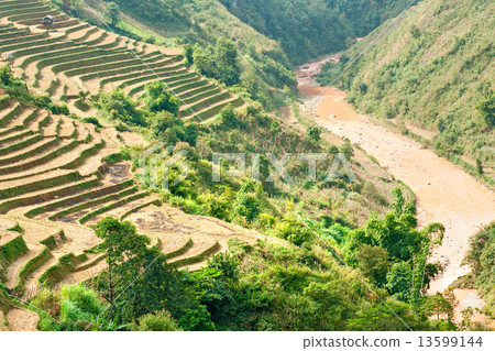 North Vietnamese Landscape. North Vietnamese Landscape. 13599144