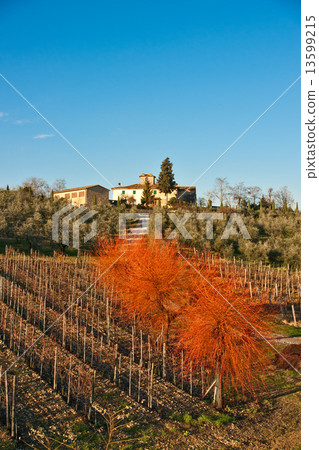 Tuscany landscape, Chianti area, Italy. Tuscany landscape, Chianti area, Italy. 13599215