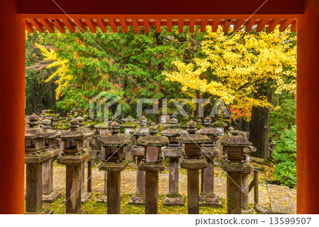 Kasuga Taisha in Nara, Japan 13599507