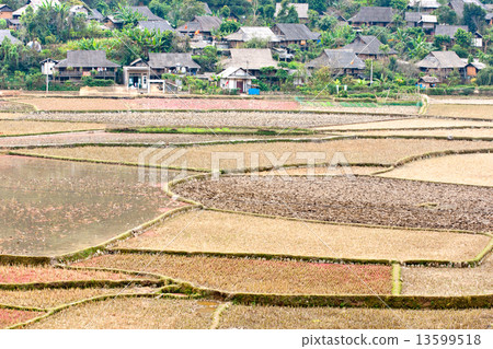 North Vietnamese Landscape. 13599518