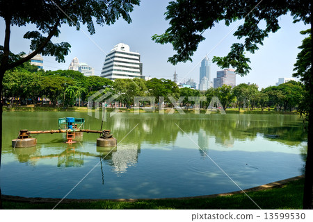 Lumpini Park, bangkok, Thailand.. 13599530