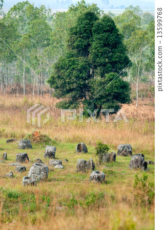 Plain of Jars, Phonsavan, Laos. 13599768