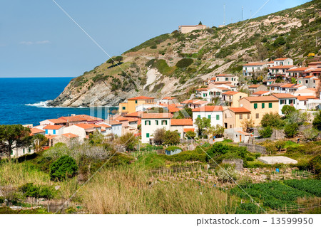 Beautiful coastlines in Elba island. Beautiful coastlines in Elba island. 13599950