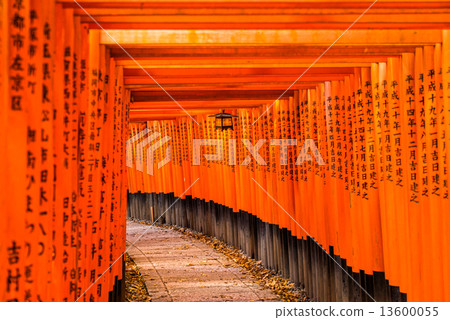 Fushimi Inari Taisha Shrine in Kyoto, Fushimi Inari Taisha Shrine in Kyoto, 13600055