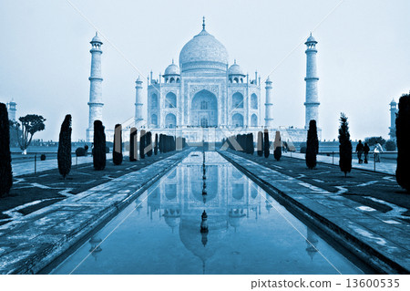 Taj mahal, Agra, India. 13600535