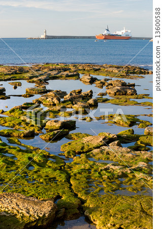 Livorno harbour. 13600588
