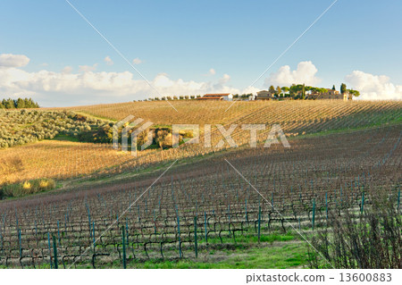 Tuscany landscape, Chianti area, Italy. 13600883