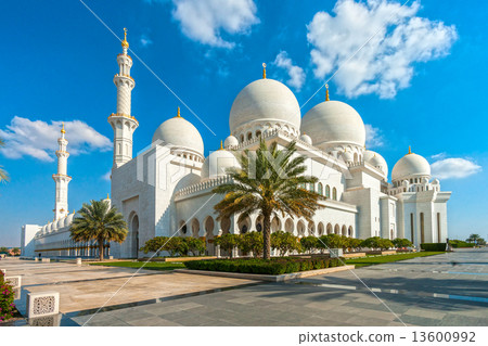 Sheikh Zayed Mosque, Abu Dhabi, United Arab Emirates 13600992