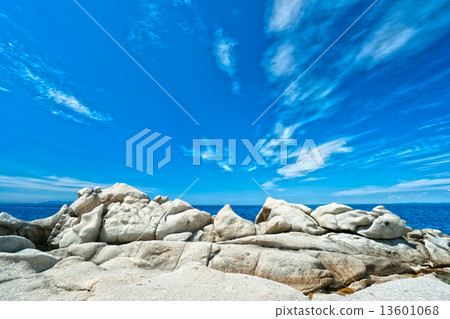 Capo Bianco beach, Elba island. 13601068