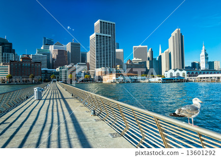 San Francisco skyline 13601292