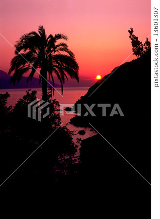 Elba Island, Sunset. 13601307