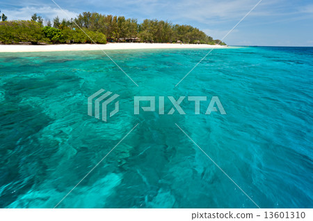 Hagia Sophia mosque, Istanbul, Turkey. 13601310