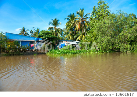 Boats in a harbor in the Mekong delta, Can Tho, Vietnam 13601617