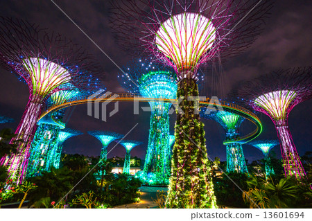 SINGAPORE - MARCH 19: Night view of The Supertree Grove at Garde 13601694