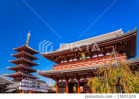 圖庫照片: sensoji-ji, temple in asakusa, tokyo, japan.