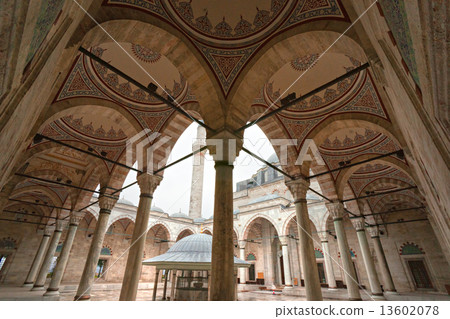The Fatih Mosque, Istanbul, Turkey. The Fatih Mosque, Istanbul, Turkey. 13602078