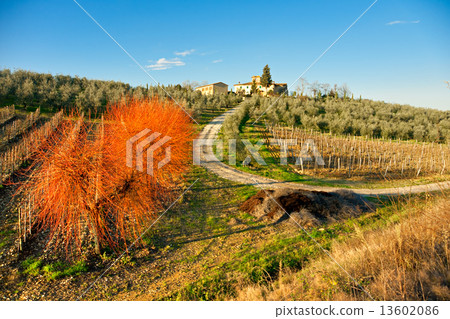 Tuscany landscape, Chianti area, Italy. Tuscany landscape, Chianti area, Italy. 13602086