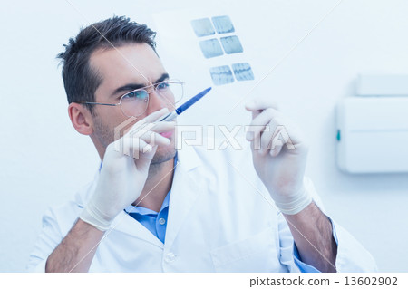 Dentist looking at x-ray 13602902
