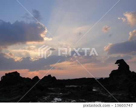 日落Oga半島剪影的哥斯拉岩石 13603747