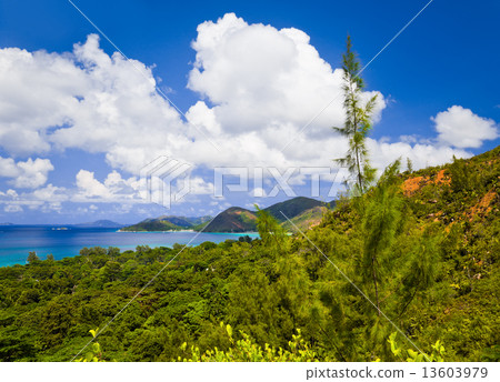 Landscape of island Praslin, Seychelles Landscape of island Praslin, Seychelles 13603979