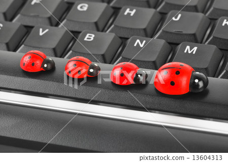 Toy ladybirds on computer keyboard Toy ladybirds on computer keyboard 13604313