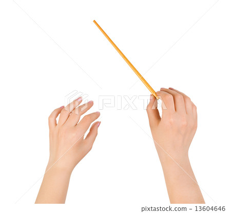 Music conductor hands 13604646