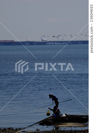 Tamagawa河口和羽田機場D跑道的漁夫 13604693
